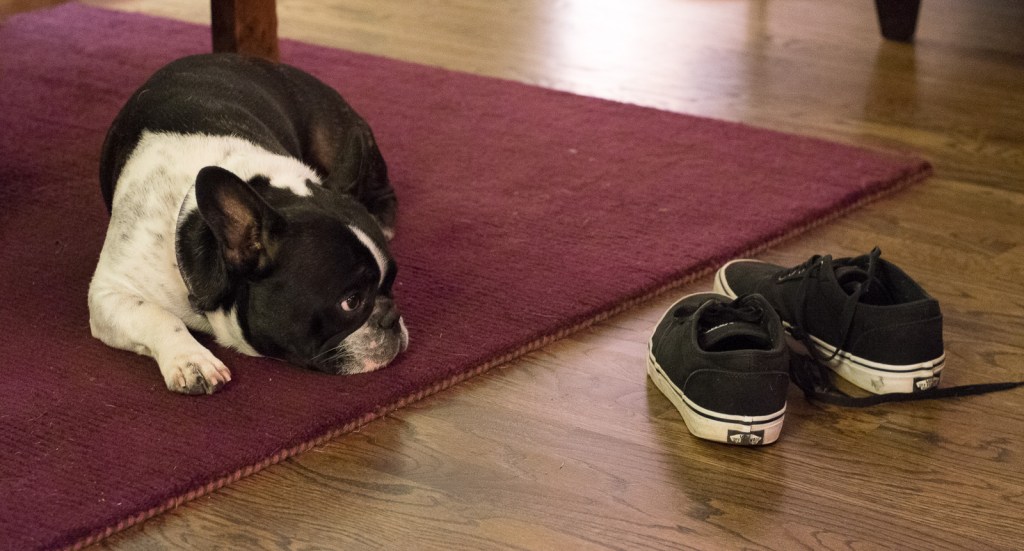 Jules - Fujifilm X-T1 - Canon FL 55mm f/1.2 