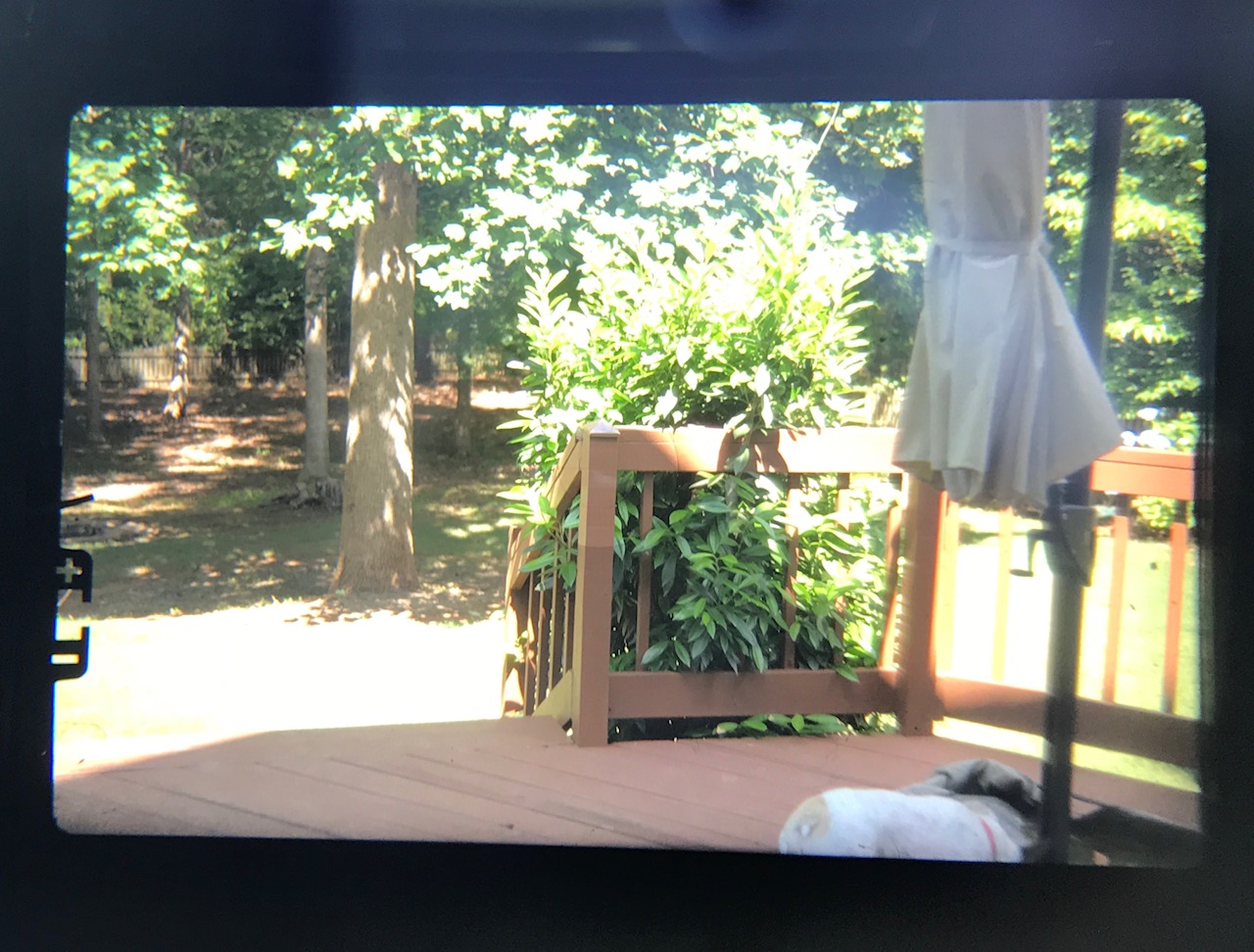 olympus OM1 viewfinder