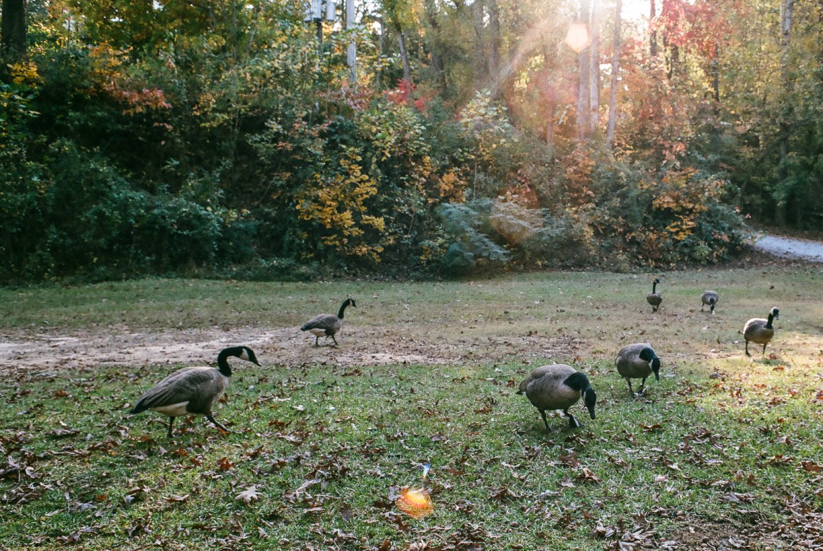 2017-11-spotmatic--20