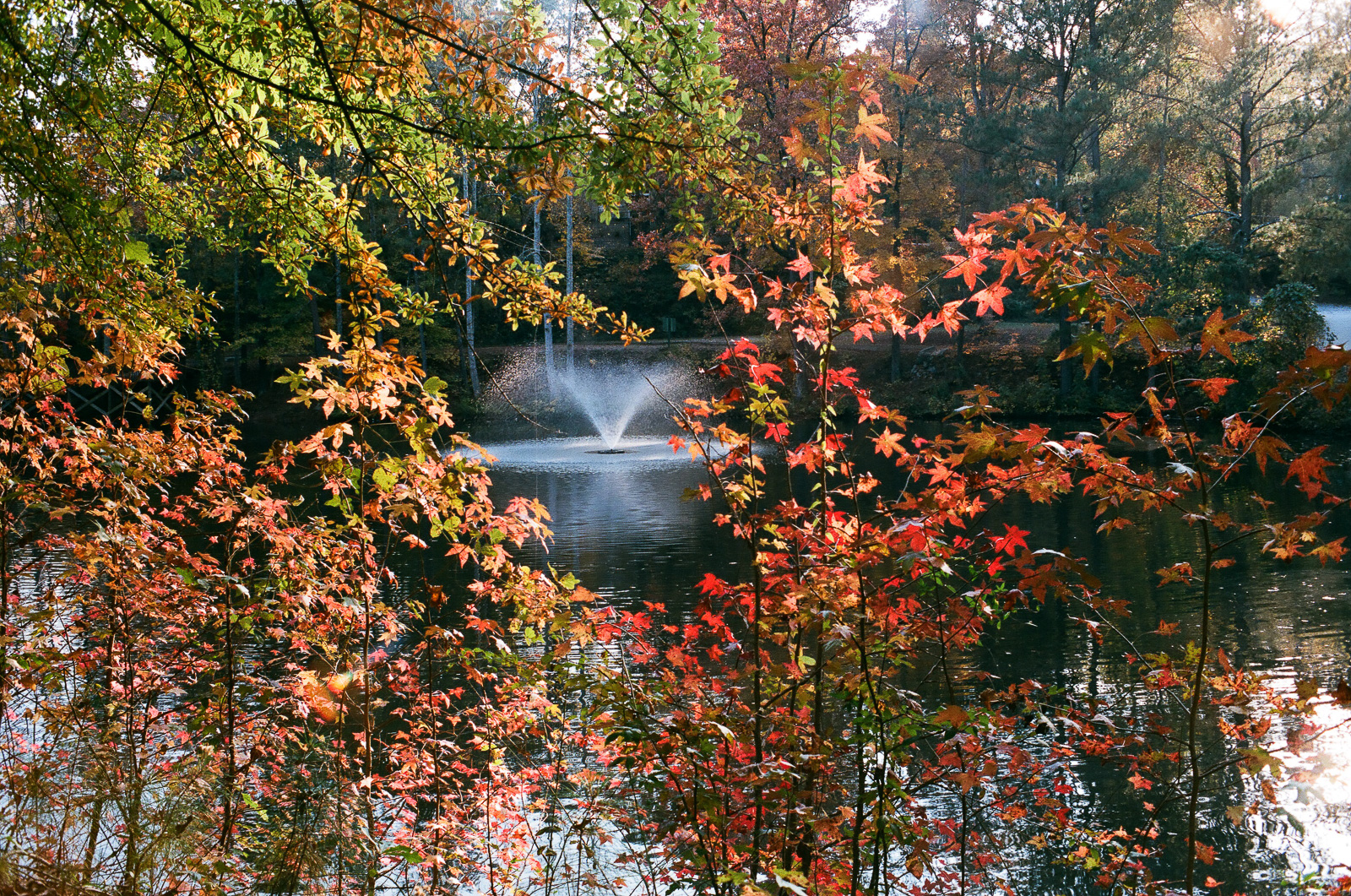 2017-11-spotmatic--9