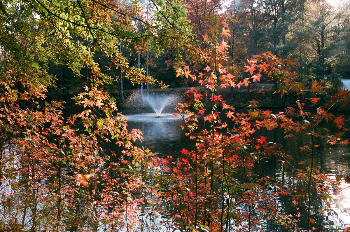 2017-11-spotmatic--9