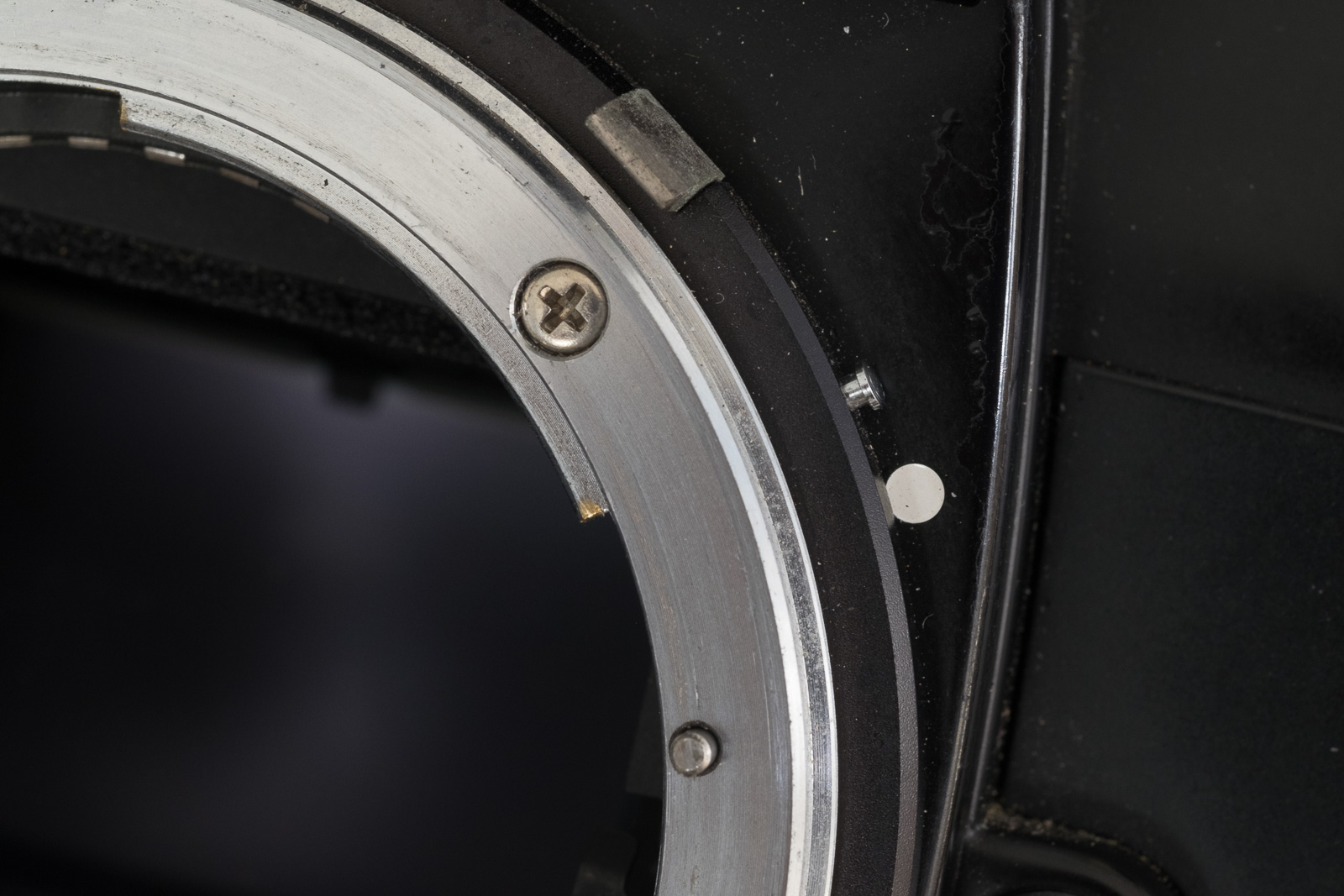 Nikon F4 – CamerAgX – a new life for old gear