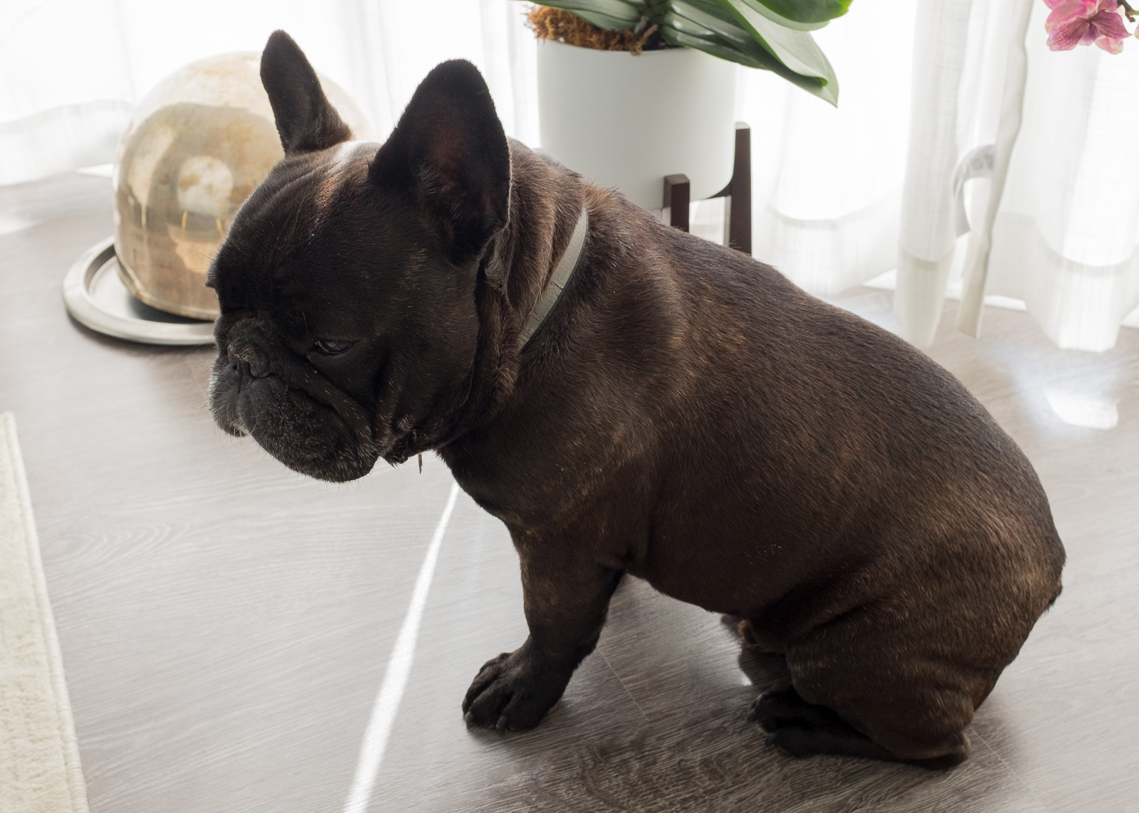 2020-03-Fuji_tests-8147