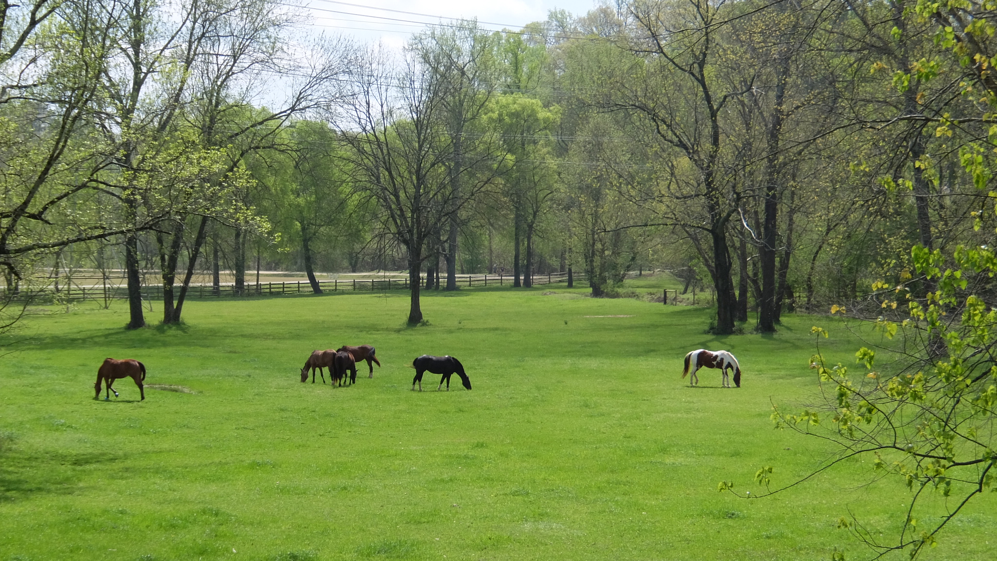 8B213BF4-1F4C-4E90-AB78-2284E22F03D6