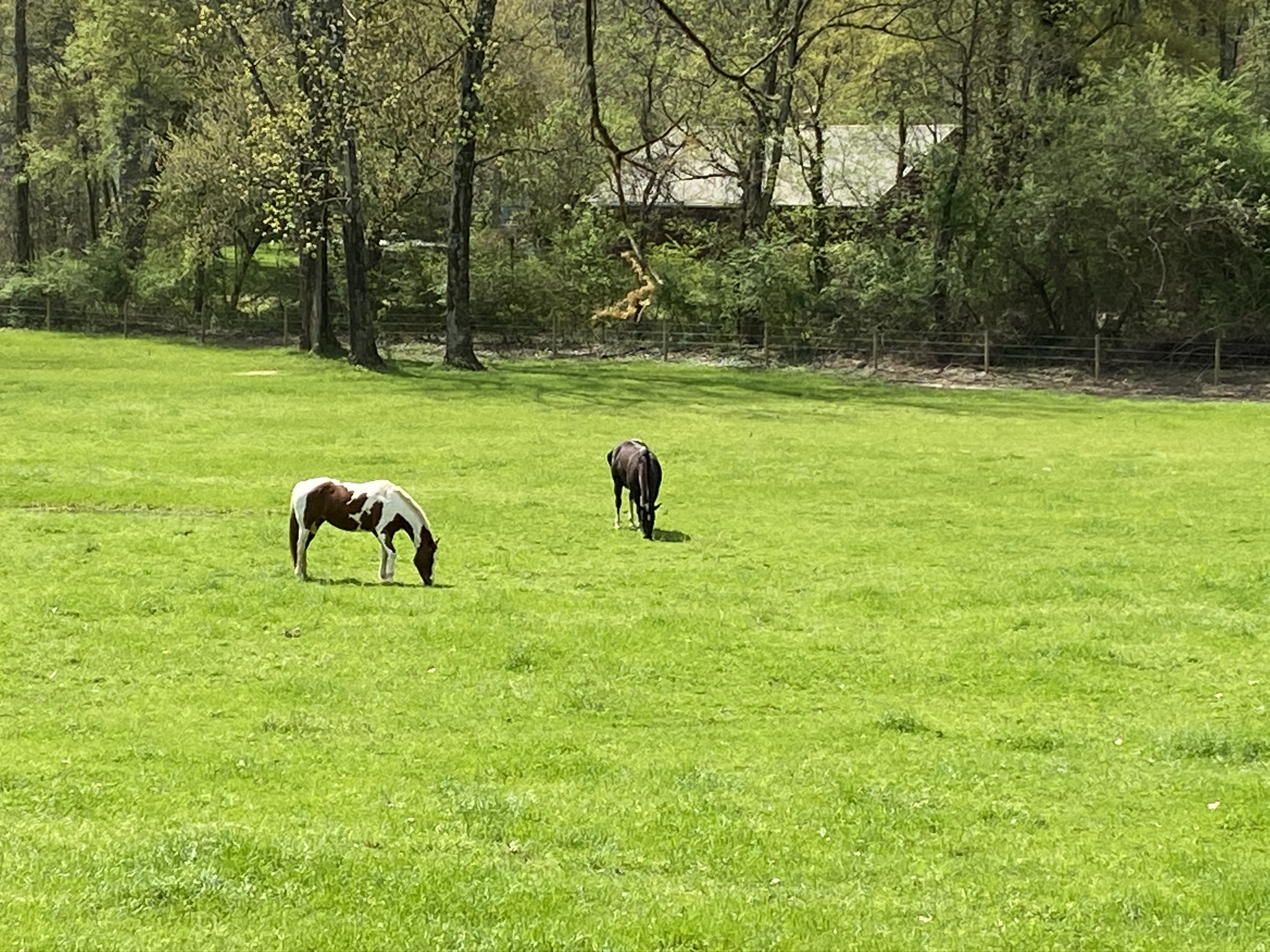 9DF12F88-EAA5-4301-825A-66C277DA8206