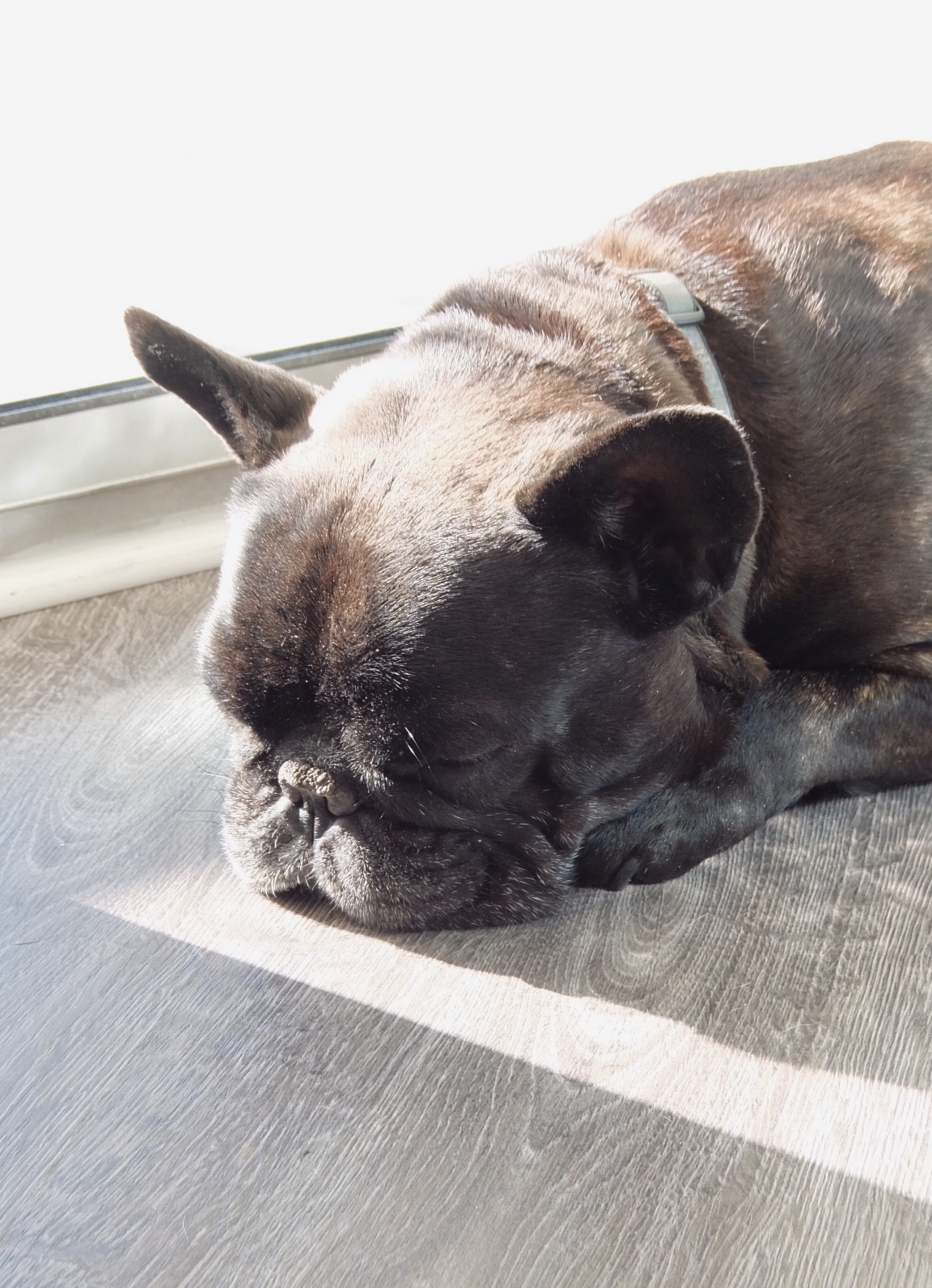 D1BD6313-1A73-415A-A13A-93E5F8829CA3