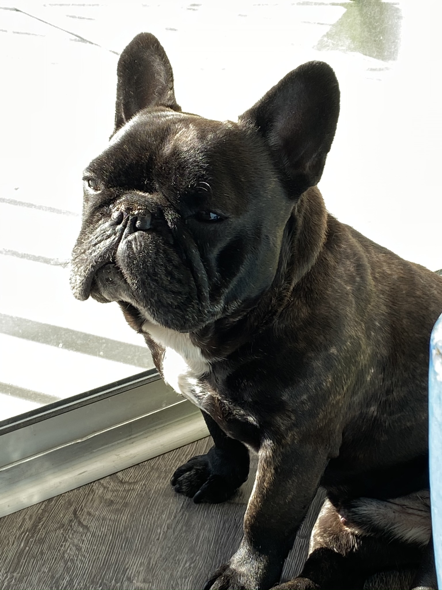 D76DF4E5-9FED-4F4D-A392-8667B2238915