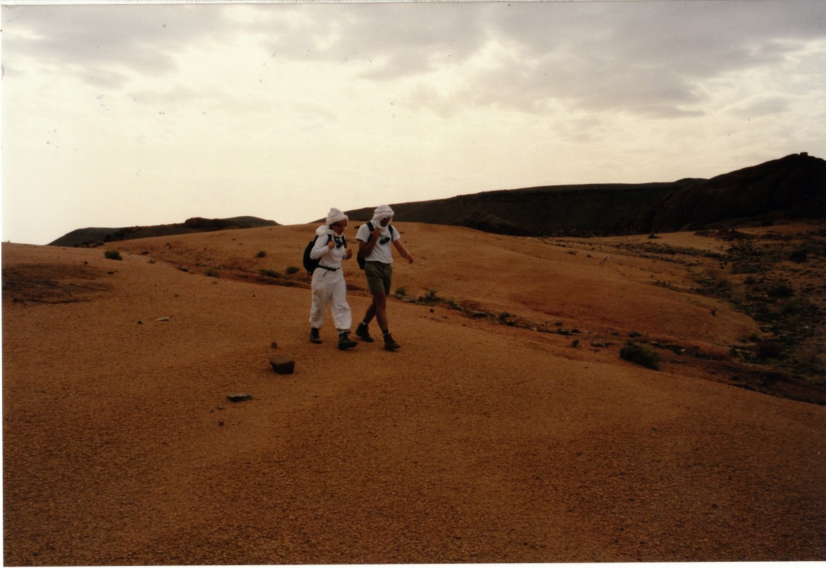 sahara_1991_oct