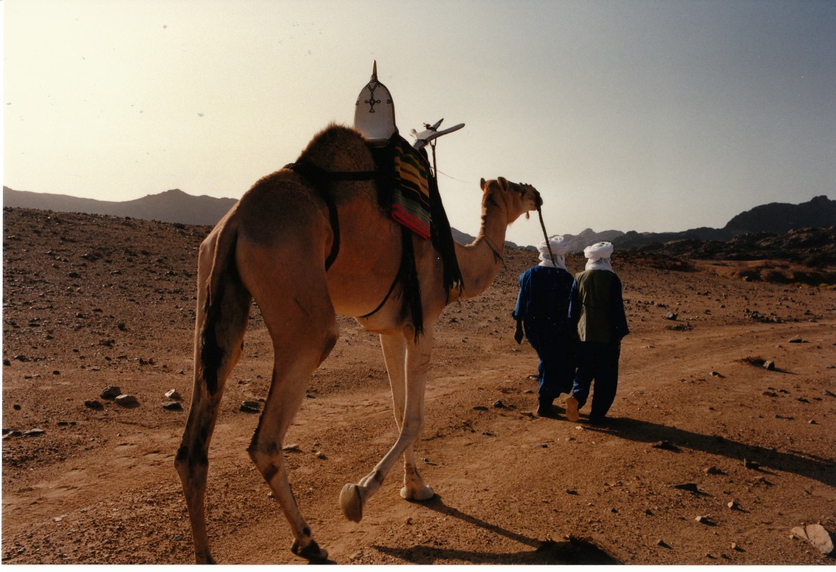 sahara_Nov_1991